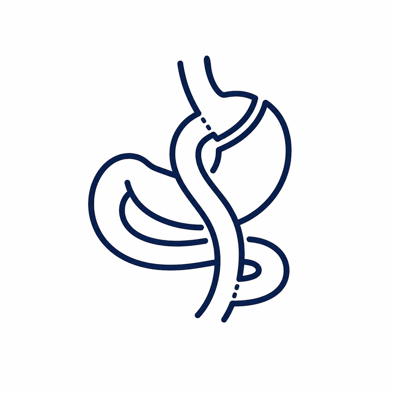 Gastric bypass icoon