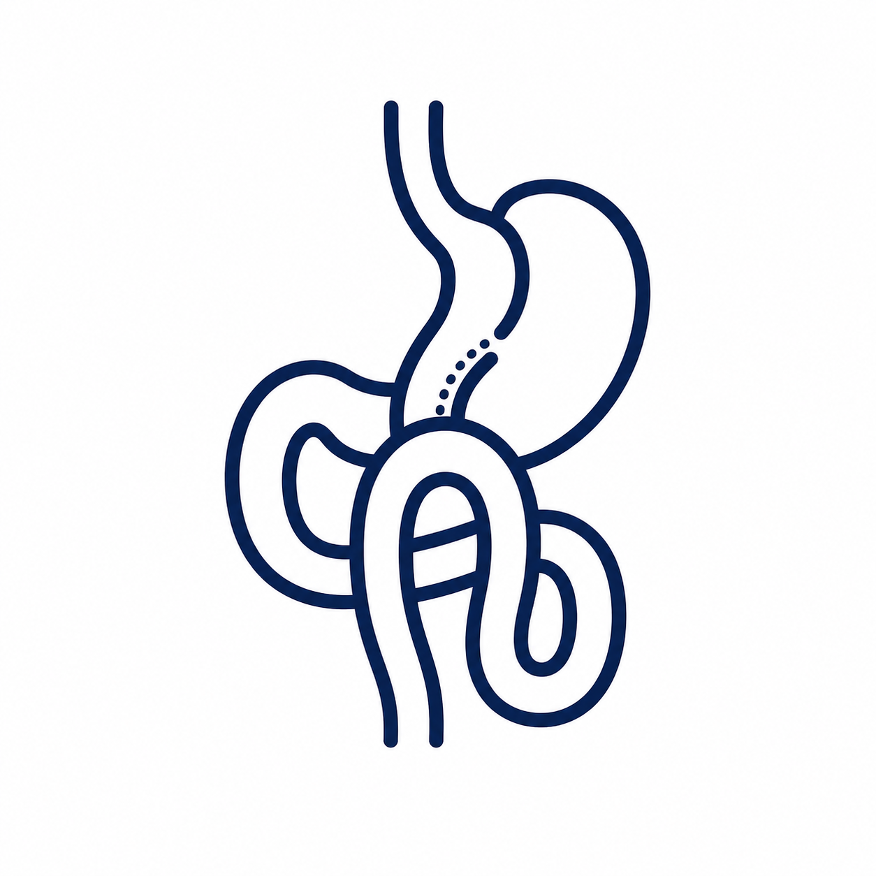 Mini gastric bypass icoon